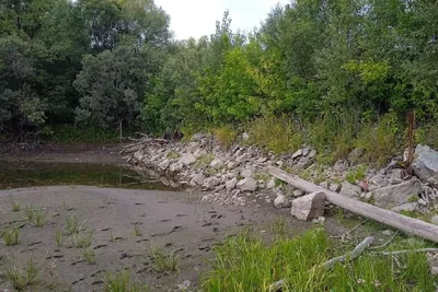 Откройте новые грани природы: фотографии Новосибирской реки Обь