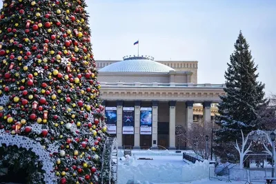 Зимний Новосибирск: Ваши любимые моменты в различных форматах