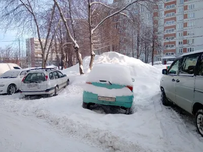 Зимний фотоальбом Новосибирска: Снимки для каждого в форматах JPG, PNG, WebP