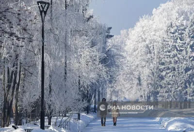 Морозная атмосфера Новосибирска: Фотографии для вашего выбора