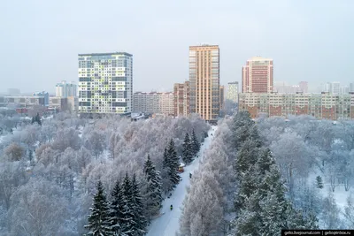 Зимний альбом Новосибирска: Большие, маленькие и все размеры фото