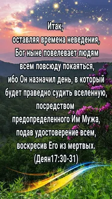 Увлекательные изображения с оригинальными подписями