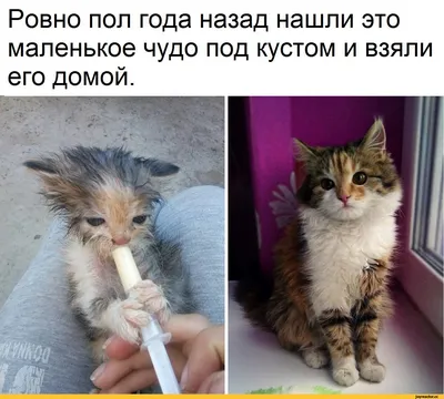 Фото, которые гарантированно вызовут смех