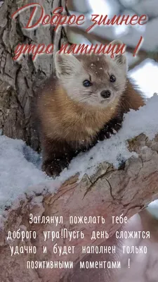 Смешные изображения, чтобы рассмешить всех вокруг.