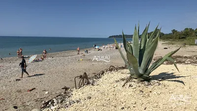 Новый Афон пляжа: фото в высоком разрешении
