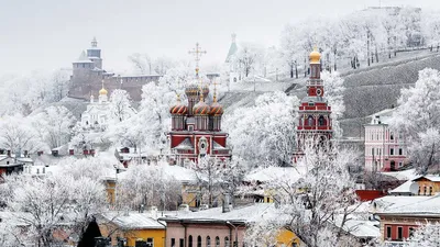 Зимние фотоистории: Новогодние моменты в России