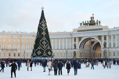 Изысканный праздник: Новогодние картинки из СПб