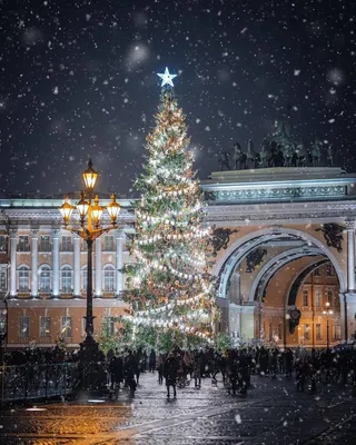 Северная столица в новогоднем свете: Фотографии праздника