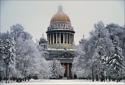 Фотографии Нового года в Санкт-Петербурге: Сказочные картины