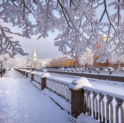 Санкт-Петербург в новогоднем свете: Фотографии и выбор формата