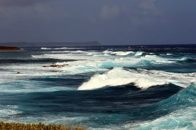 Новый океан крым фотографии