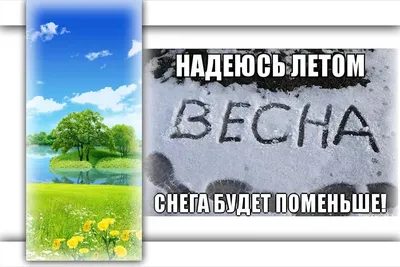 Весенние фото: скачать бесплатно в формате JPG, PNG, WebP