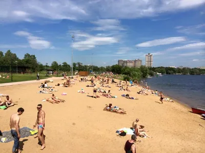 Райский уголок на нудистском пляже в Москве