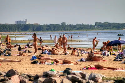 Удивительные виды с нудистского пляжа в Москве