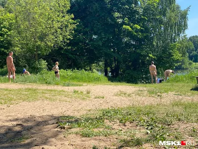 Фотографии природы нудистского пляжа в Москве