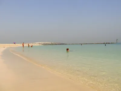 Фото пляжей ОАЭ с экзотической растительностью