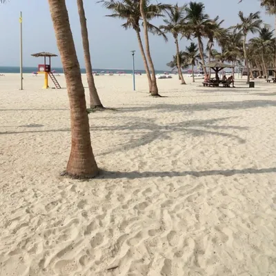 Пляжи ОАЭ: фото в Full HD