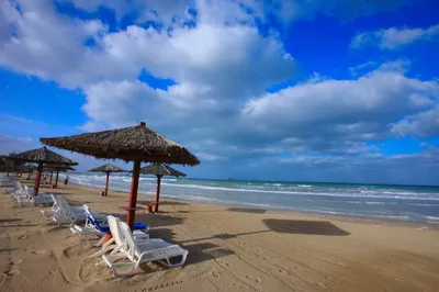 Пляжи ОАЭ: бесплатные фото