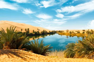 Оазис в пустыне  фото