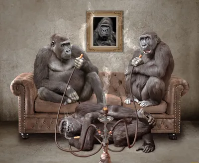 Фотография обезьяны в стиле арта