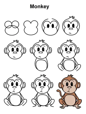 Эксклюзивные снимки обезьян: Full HD фон