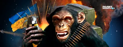 Огонь и шутки: обезьяна с гранатой в необычной фотосессии.