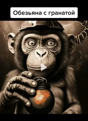 Фотка обезьяны с гранатой на экран вашего макбука