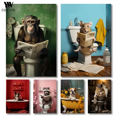 В поисках идеального снимка: обезьяны и искусство фотографии