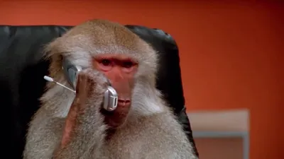 Фотография обезьяны с телефоном 4K: Потрясающее качество