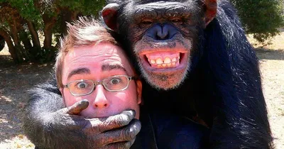 Full HD фото обезьян: Совершенное изображение