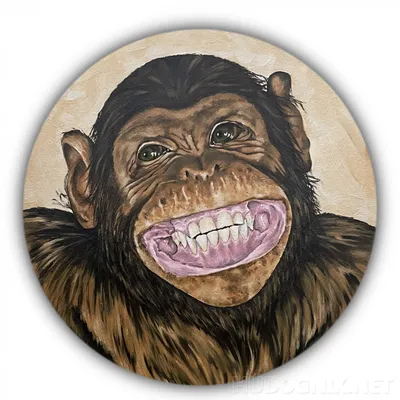 За кулисами джунглей: улыбающаяся обезьяна в объективе