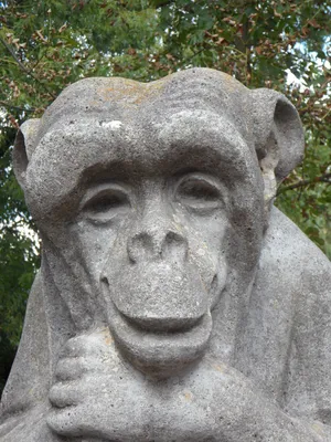Фото обезьяны в арт-стиле: Свежий рисунок