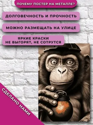 Загадочные обитатели леса: обезьяны в своей естественной среде