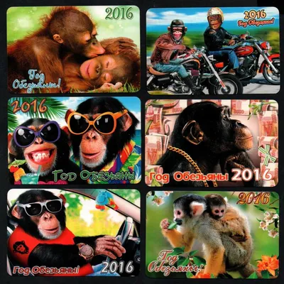 Фотографии обезьян: Full HD коллекция
