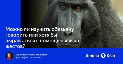 Фотографии, отражающие разнообразие языковых форм обезьян