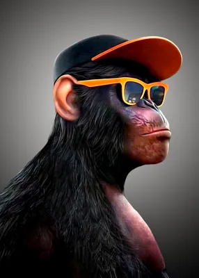 Фото обезьян в очках: Бесплатно скачать в Full HD