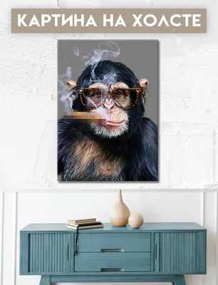 Фотографии обезьян в очках: Скачай в PNG, JPG, WebP форматах