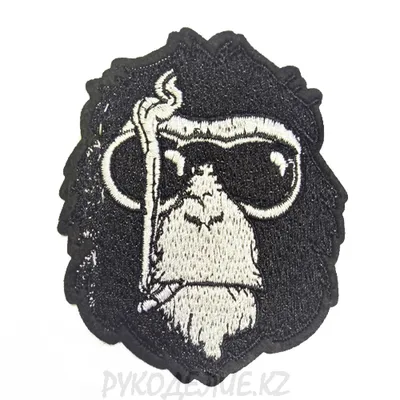 Арт с обезьянами: HD фотографии и рисунки