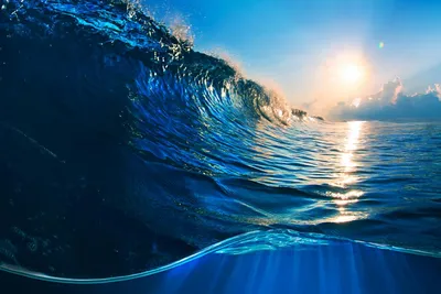 Океанский Экспресс: Скачайте красочные фото в хорошем качестве