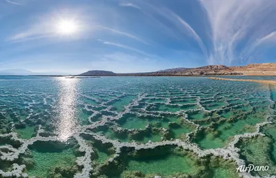 Загадочные создания Мертвого моря запечатлены на фото