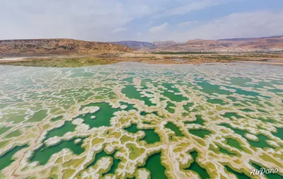 Магия Мертвого моря на фото: разнообразие жизни под соляными водами