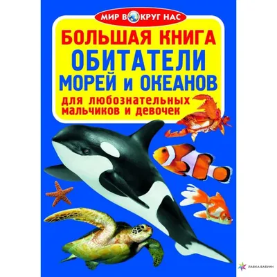 Забытый мир под водой: фотоэкскурсия в глубины морей