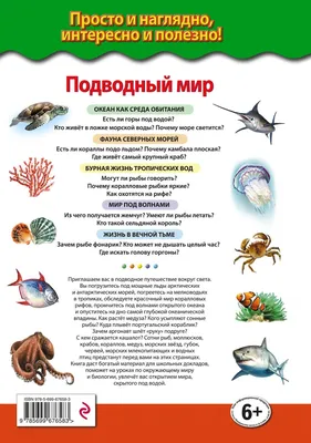 Интересные рисунки морского мира