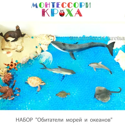 Великолепные снимки морской жизни