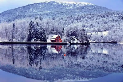 Фотографии зимнего пейзажа: обложки для всех форматов