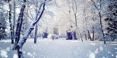 Зимние обложки: красивые изображения для скачивания