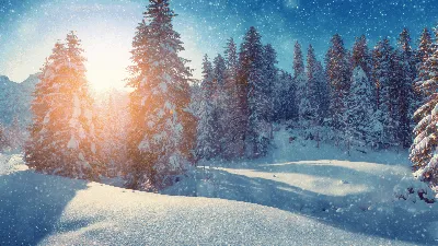Обложки зимы: фотографии в различных форматах