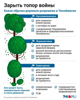 Природное искусство: фотографии обрезки деревьев весной