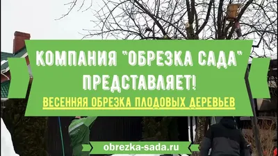 HD фотографии обрезки деревьев весной: красота деталей природы