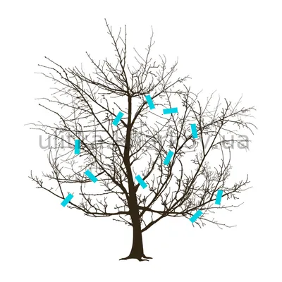 Изображение зимней обрезки деревьев: настройте размер и формат
